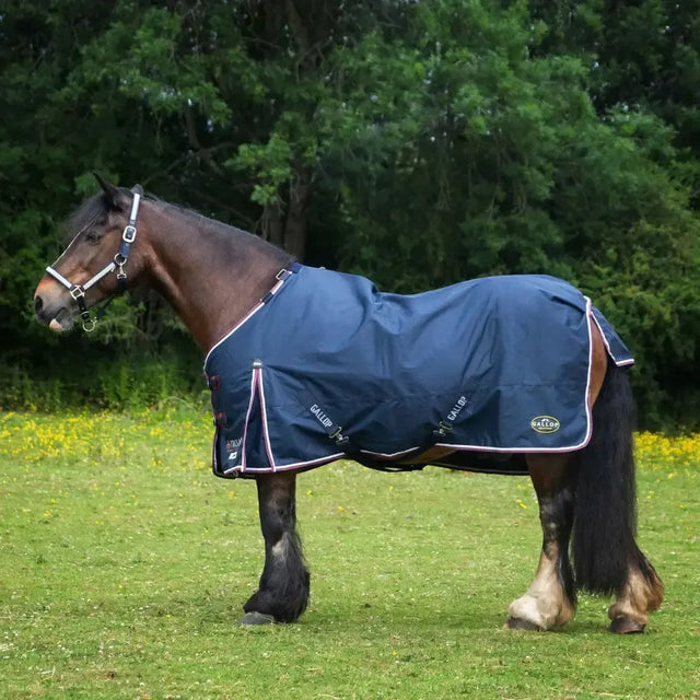 Gallop Trojan Duraproof 50g Turnout Rugs Standard Neck 5'6" Navy Turnout Rugs