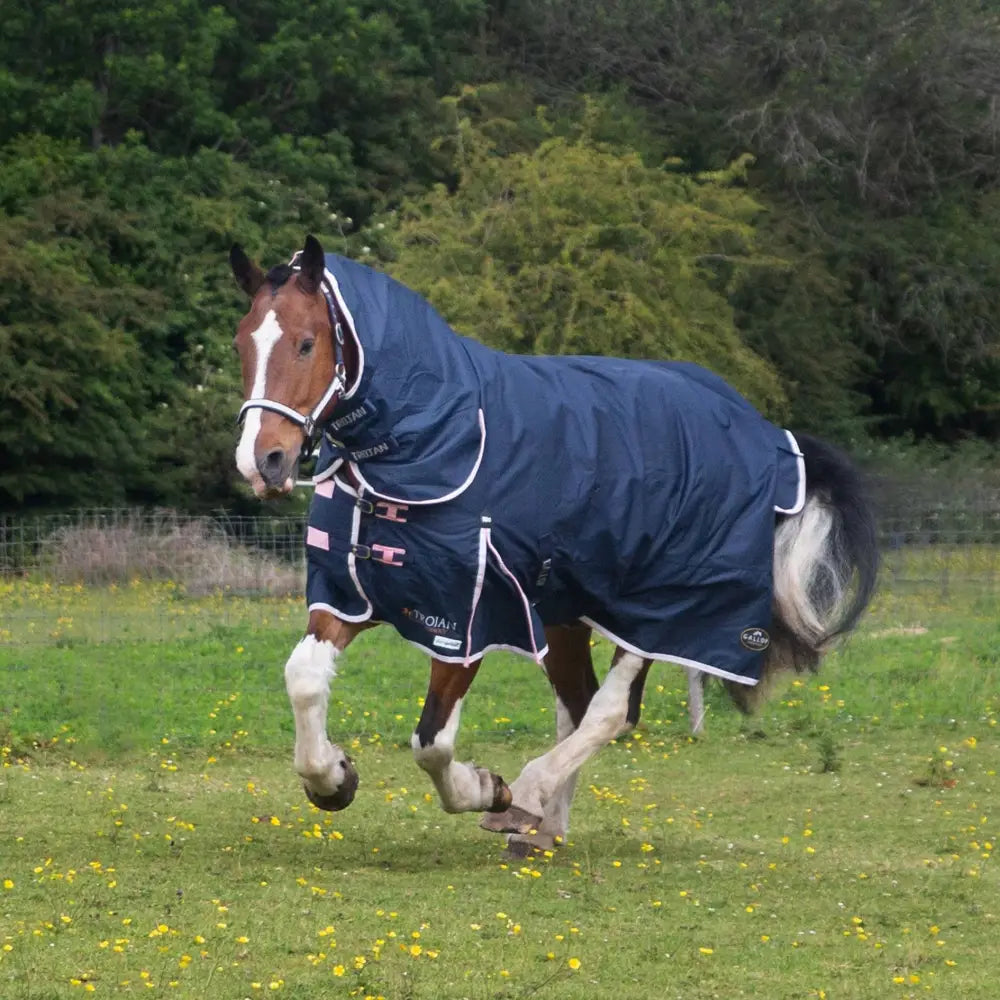 Navy blue gallop trojan duraproof 50g turnout combo horse rug with white trim pink accents and branded logo on side