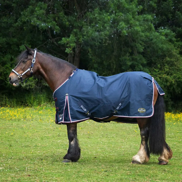 Navy blue gallop trojan duraproof 50g std neck turnout horse blanket with white pink trim adjustable straps waterproof
