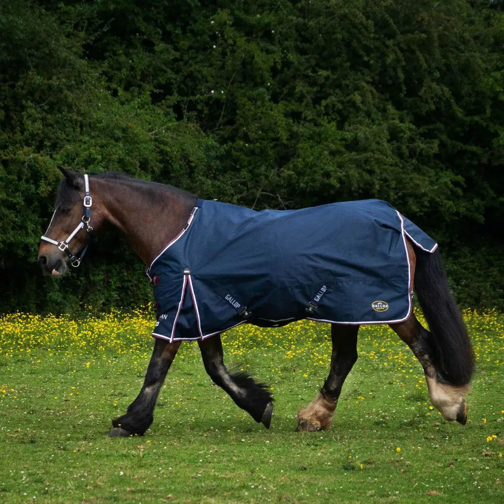 Navy blue gallop trojan duraproof 50g std neck turnout rug with white trim and brand logo visible