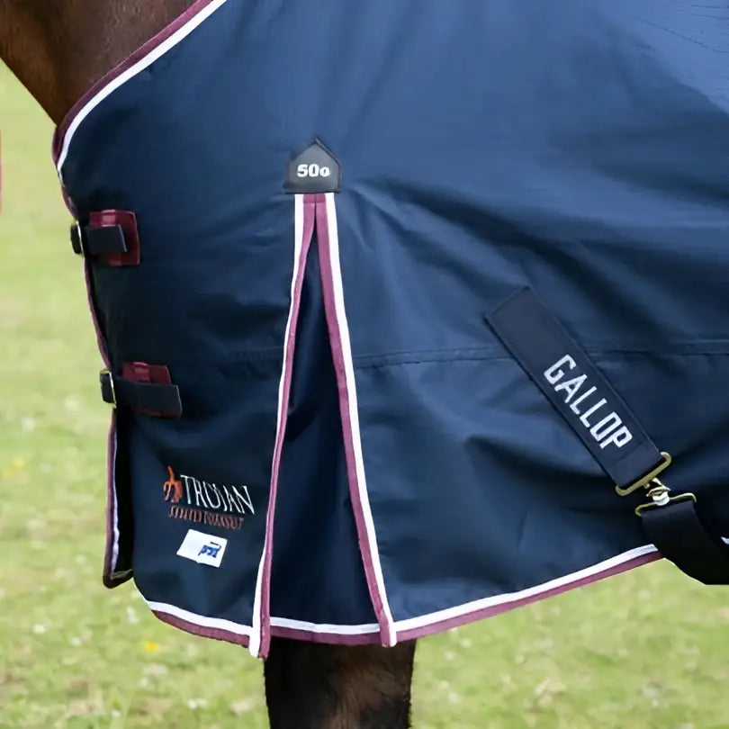 Navy blue gallop trojan duraproof 50g std neck turnout rug with maroon white trim and black buckles