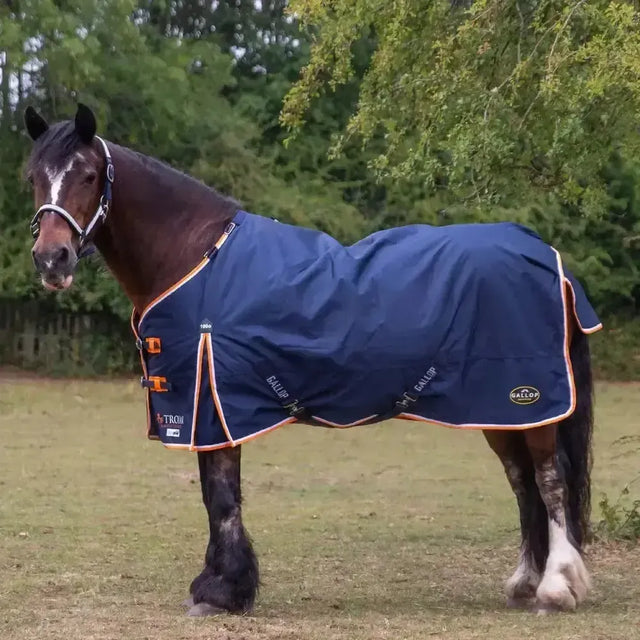 Gallop Trojan Duraproof 100g Lightweight Standard Neck Turnout Rugs 5-Point 5'6" Turnout Rugs