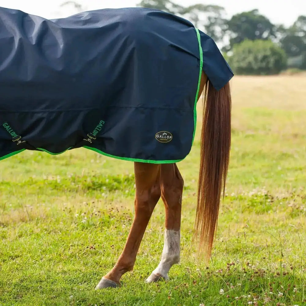 Gallop Trojan Lightweight 0g Combo Neck Turnout Rug 5'6 Turnout Rugs Barnstaple Equestrian Supplies