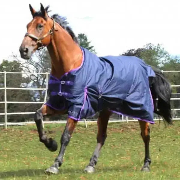 Gallop Trojan Lightweight 0g Standard Neck Turnout Rug 5'6 Turnout Rugs Barnstaple Equestrian Supplies