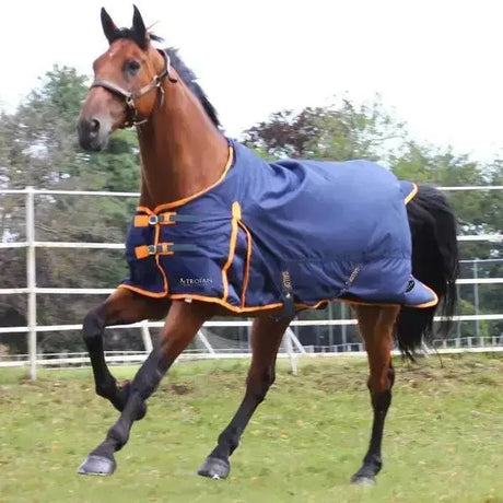 Gallop Trojan Lightweight 100g Standard Neck Turnout Rugs-5'6"-Turnout Rugs-Gallop Equestrian-Barnstaple Equestrian Supplies Tack Shop