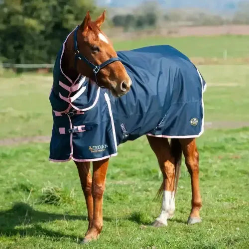 Gallop Trojan Lightweight 50g Combo Turnout Rug 5'6" Turnout Rugs