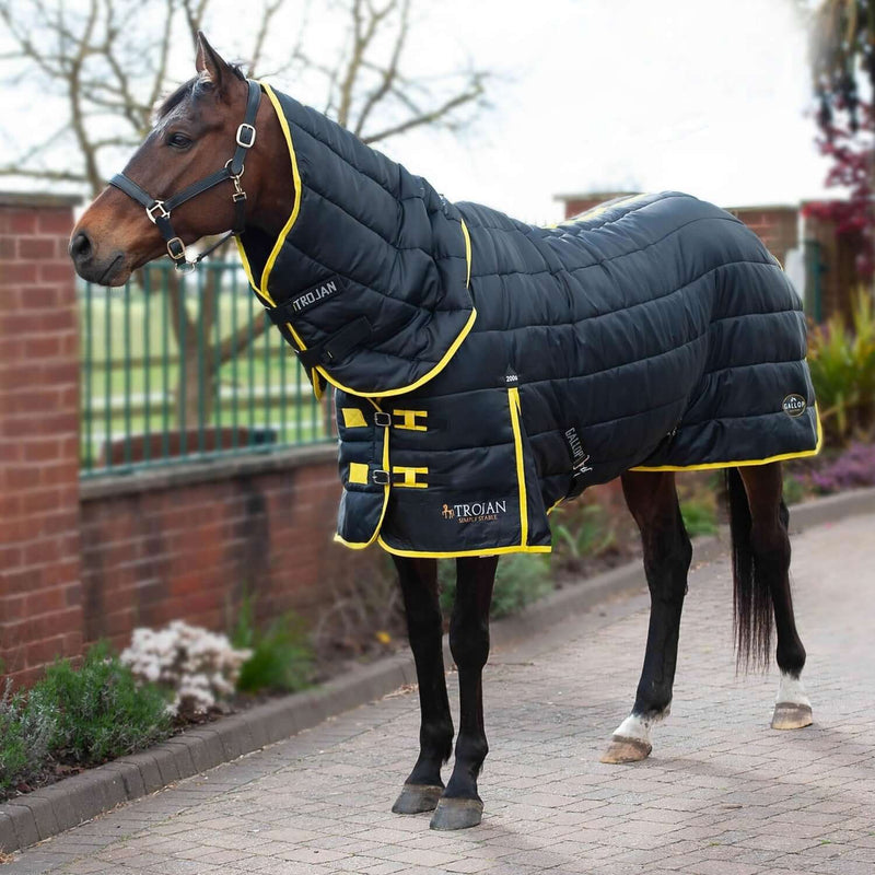 Stable Rugs For Horses. 50g Stable Rugs to 100g Stable Rugs and Heavy Weight Stable Rugs with or without necks  FAST NEXT DAY DELIVERY with Online Discounts for Local Click & Collections and Van Deliveries with Barnstaple Equestrian Supplies