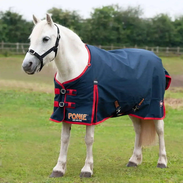 Gallop Trojan Ponie 200g Turnout Rug Medium Weight Standard Neck 3'6 Turnout Rugs Barnstaple Equestrian Supplies