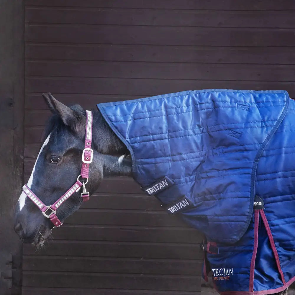 Blue quilted gallop trojan 50g stable neck cover with pink trim and double velcro straps for horses