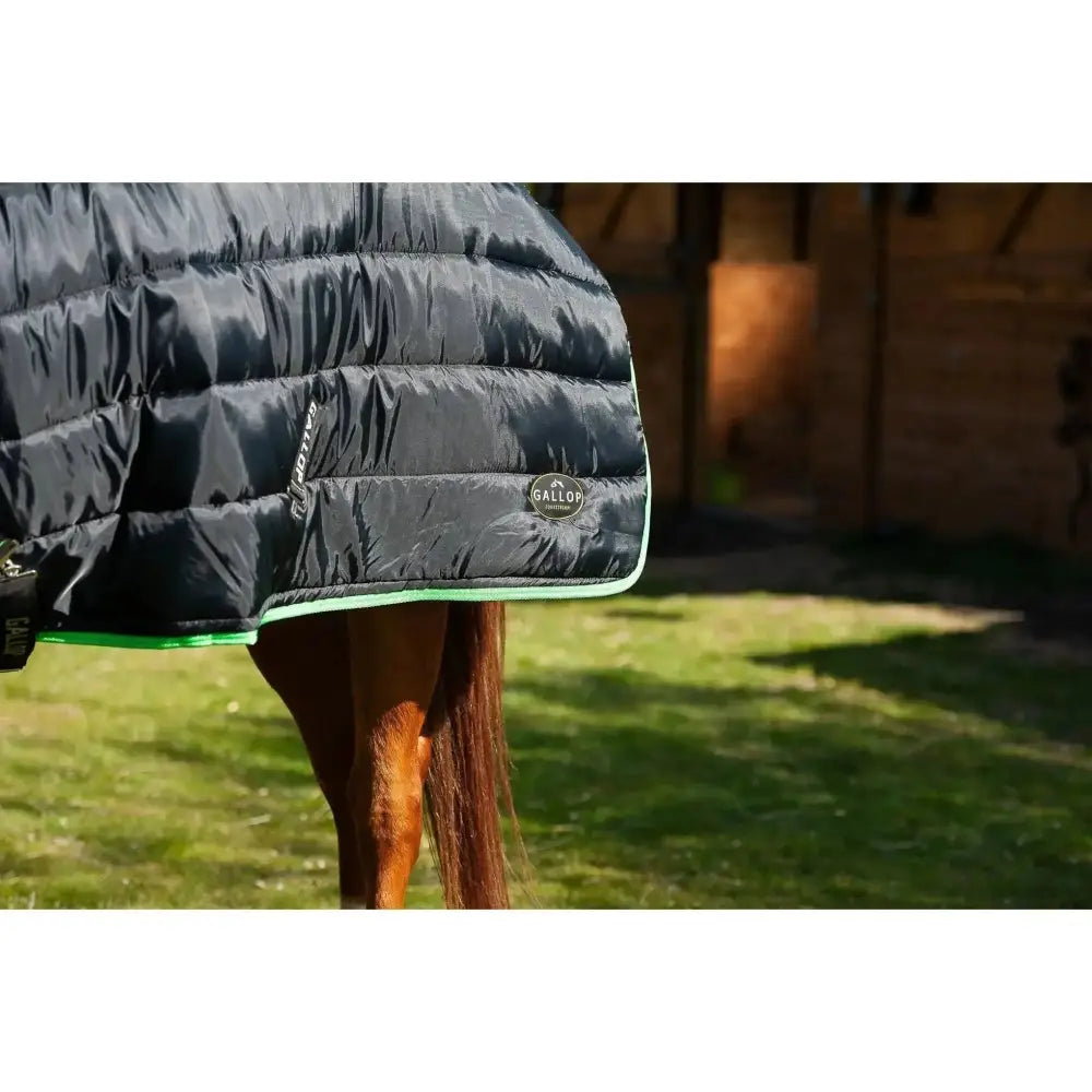 Gallop Trojan Stable Rug 300g Dual Heavy Weight Neck Set Black/Green 5'6 Stable Rugs Barnstaple Equestrian Supplies