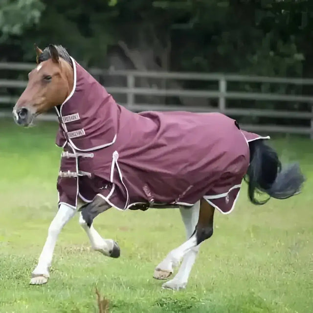 Maroon gallop trojan xtra 100g lightweight turnout horse blanket with white trim silver buckles and neck label