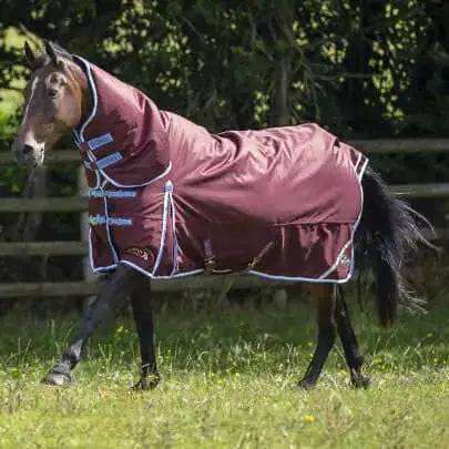 Gallop Trojan Xtra 350g Heavy Weight Turnout Rugs Combo 5'6 Gallop Equestrian Turnout Rugs Barnstaple Equestrian Supplies