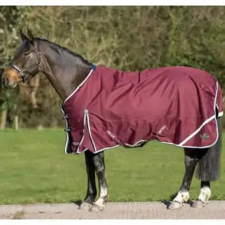 Gallop Trojan Xtra 50g Lightweight Standard Neck Turnout Rugs-5'6"-Turnout Rugs-Gallop Equestrian-Barnstaple Equestrian Supplies Tack Shop