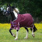 Gallop Trojan Xtra Duraproof 0g Lightweight Turnout Rug Standard Neck 5'6" Turnout Rugs