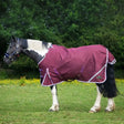 Gallop Trojan Xtra Duraproof 0g Lightweight Turnout Rug Standard Neck 5'6" Turnout Rugs