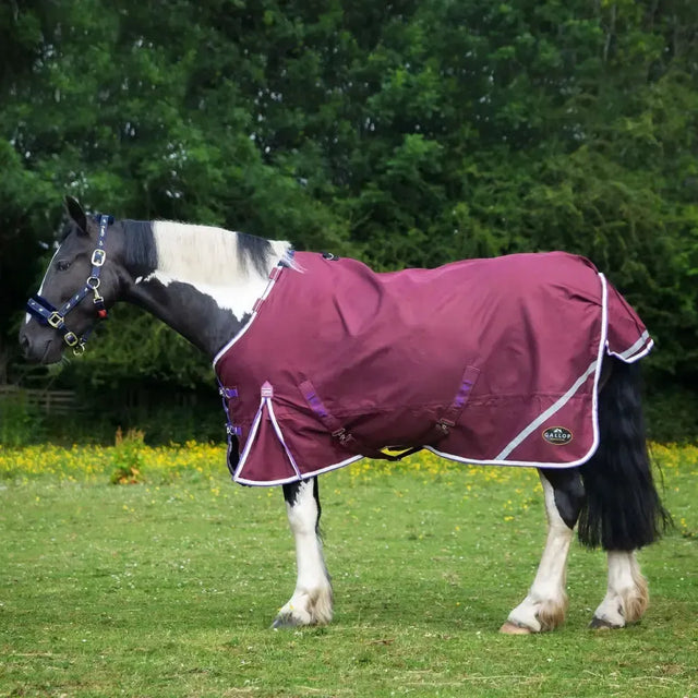 Gallop Trojan Xtra Duraproof 0g Lightweight Turnout Rug Standard Neck 5'6" Turnout Rugs