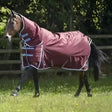 Maroon gallop trojan xtra turnout rugs combo with white trim and blue reflective stripes 350g heavy weight blanket