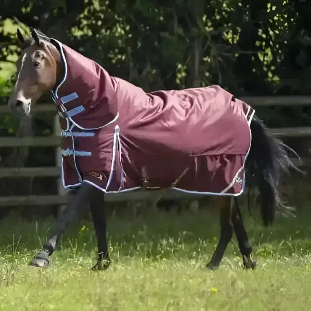 Maroon gallop trojan xtra turnout rugs combo with white trim and blue reflective stripes 350g heavy weight blanket