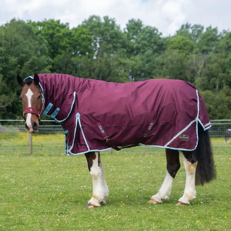 Maroon gallop trojan xtra turnout rugs combo with light blue trim and adjustable straps 350g heavy weight design