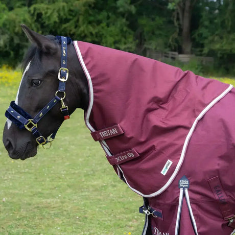 Maroon duraproof neck cover gallop trojan xtra with white trim navy blue straps and ripstop outer material