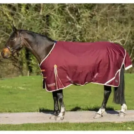 Gallop Trojan Xtra Lightweight 100g Standard Neck Turnout Rug-5'6"-Turnout Rugs-Gallop Equestrian-Barnstaple Equestrian Supplies Tack Shop