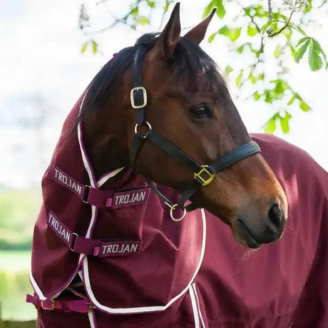 Gallop Trojan Xtra Neck Cover 0g Lightweight Small Neck Covers