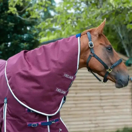 Maroon gallop trojan xtra neck cover 50g with white trim and blue buckles for turnout rug protection