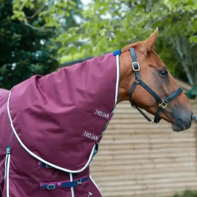 Maroon gallop trojan xtra neck cover 50g with white trim and blue buckles for turnout rug protection