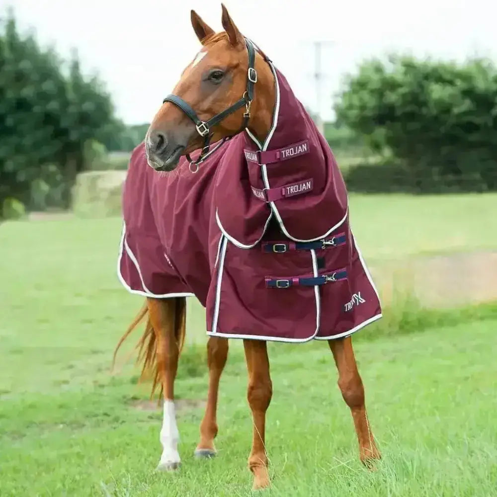 Maroon gallop trojan xtra neck cover 50g with white trim and black buckles perfect turnout rug accessory