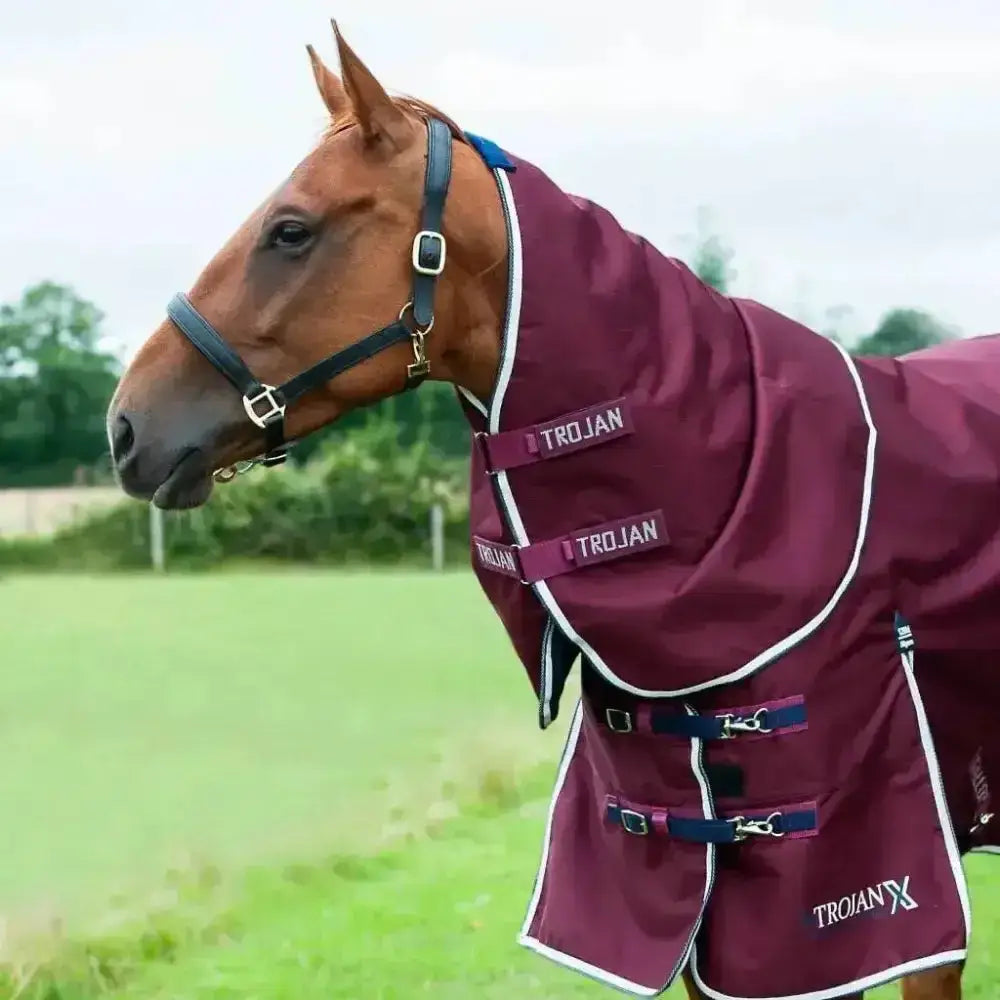 Maroon gallop trojan xtra neck cover turnout rug with white trim and navy blue buckles trojan xtra 50g