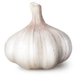 A whole unpeeled garlic bulb with smooth white skin and brown striations perfect for equestrian supplies cooking needs