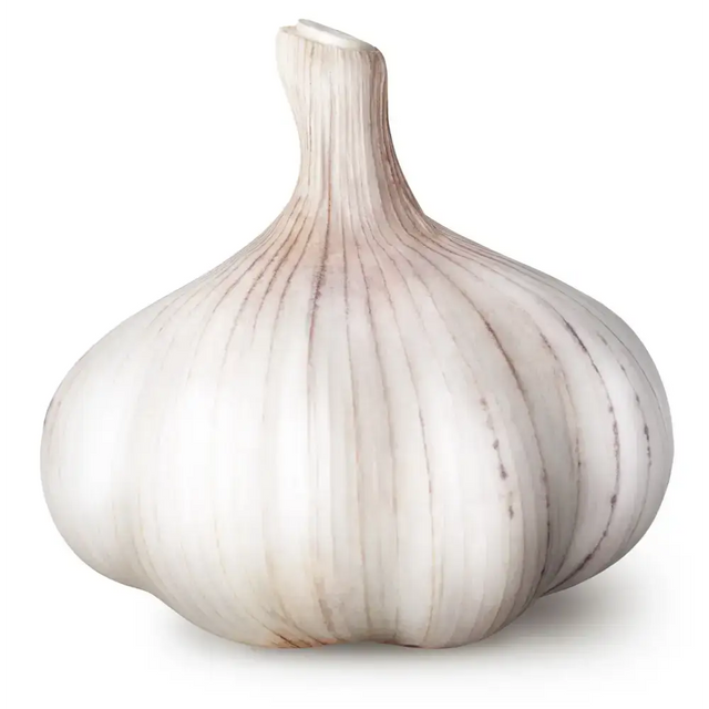 Garlic vegetables