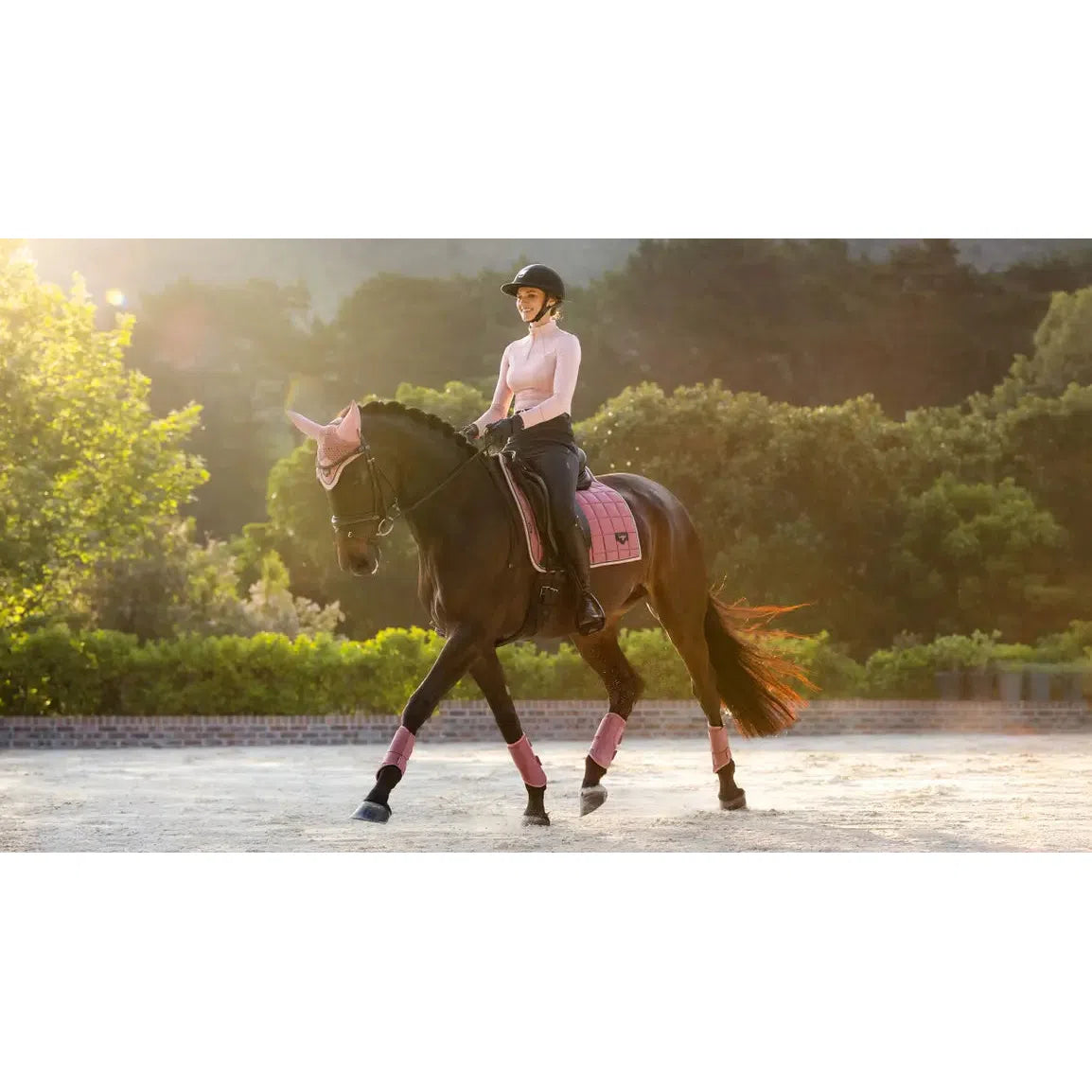 Lemieux Loire Classic Dressage Square Peony with Horse and Rider