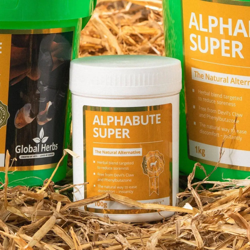 Global Herbs Alphabute Super Horse Supplement 100g Horse Supplements Barnstaple Equestrian Supplies