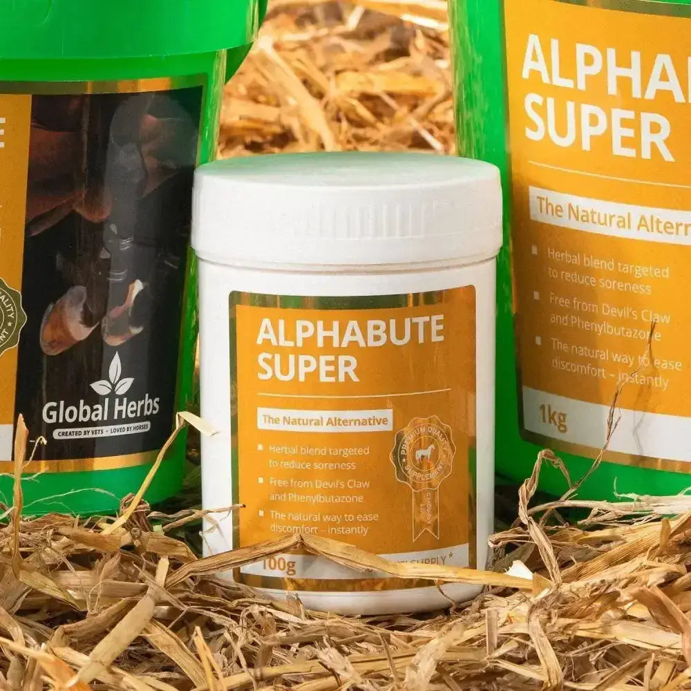 White cylindrical container with orange label and white lid labeled alphabet super by global herbs alphabute super horse supplement