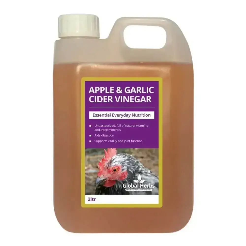 A 2-liter jug of global herbs apple garlic cider vinegar with white cap and handle containing amber liquid for chickens