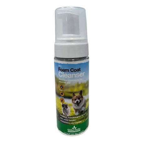 A clear plastic bottle with white pump dispenser labeled foam coat cleanser by global herbs for herbs canine foam use