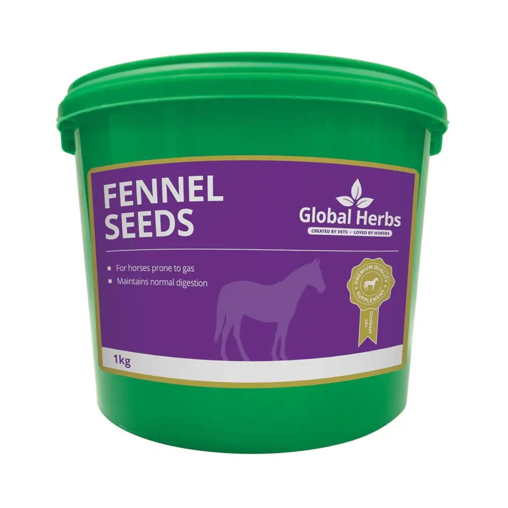 Green plastic bucket of global herbs fennel seeds 1kg ideal as a seeds horse supplement for health benefits