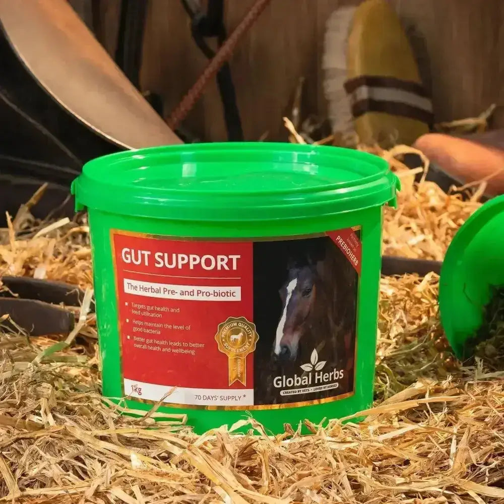 Green plastic bucket of global herbs firmup gut support herbal pre and pro biotic for healthy droppings in horses