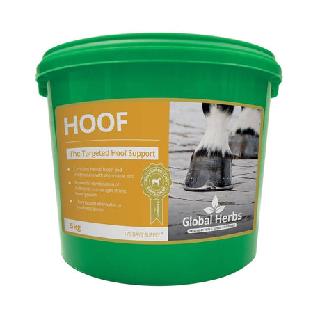 Global Herbs Hoof Horse Supplements 1Kg Barnstaple Equestrian Supplies