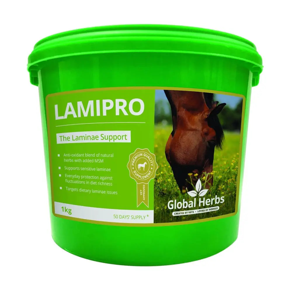 Bright green plastic bucket of global herbs lamipro powder horse supplements with a grazing horse label