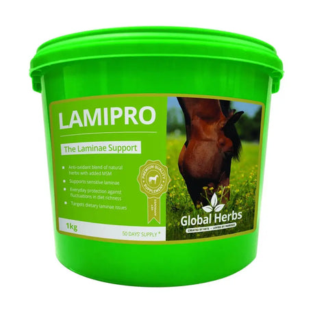 Bright green plastic bucket of global herbs lamipro powder horse supplements with a grazing horse label
