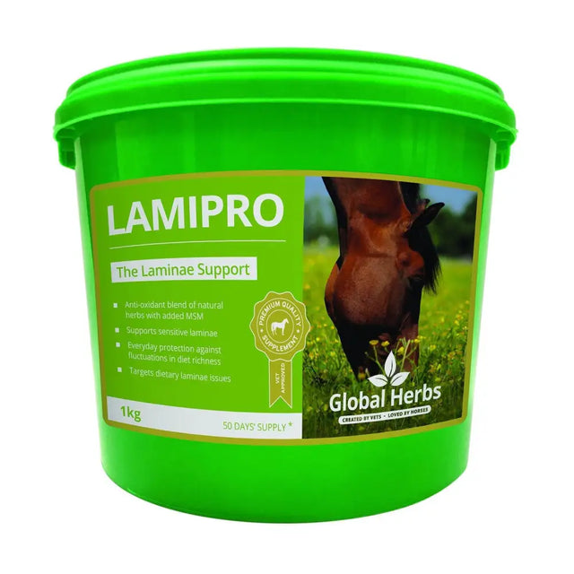Bright green plastic bucket of global herbs lamipro powder horse supplements with a grazing horse label