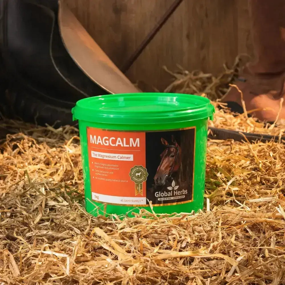 Green plastic tub of global herbs magcalm ultimate magnesium calmer with easily absorbable complex for horses