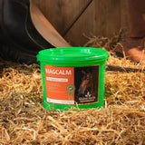 Green plastic tub of global herbs magcalm ultimate magnesium calmer with easily absorbable complex for horses