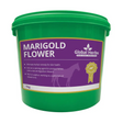 Global Herbs Marigold Flower - 1 Kg