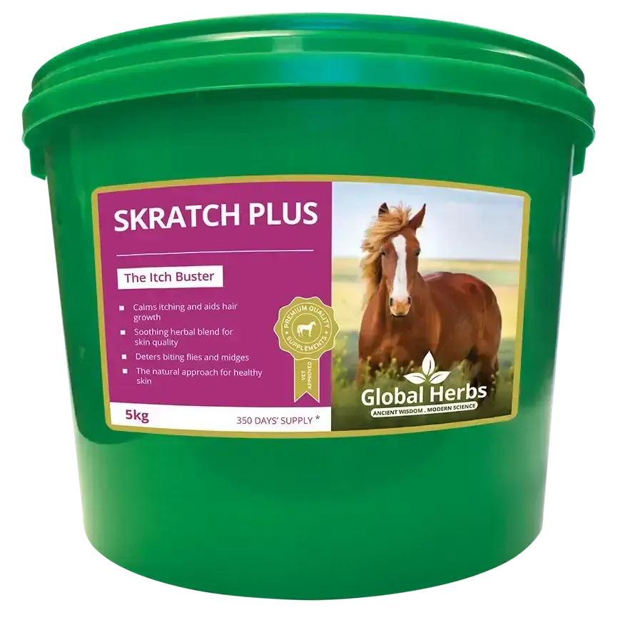Global Herbs SkratchPlus 1kg Horse Supplements