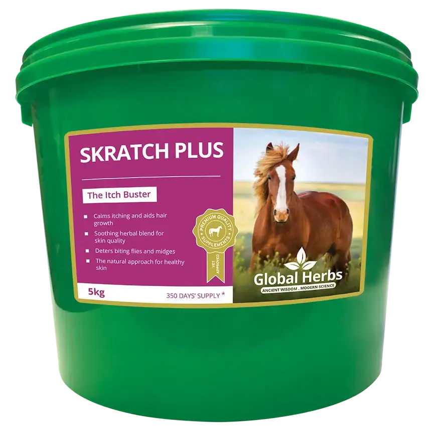 Global Herbs SkratchPlus 1kg Horse Supplements Barnstaple Equestrian Supplies