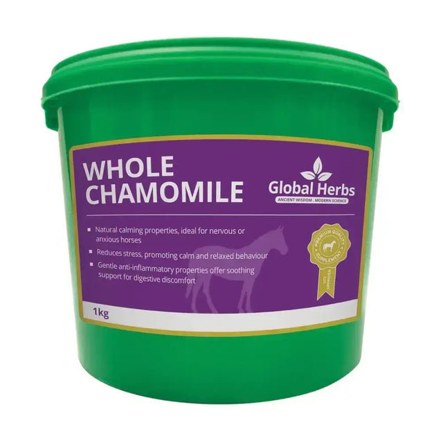 Green plastic bucket of global herbs whole chamomile herbal supplement with purple and gold label for calming horses