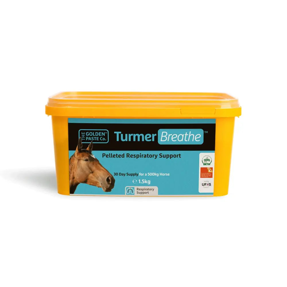 Yellow plastic container of golden paste company turmerbreathe paste with golden paste inside for health use